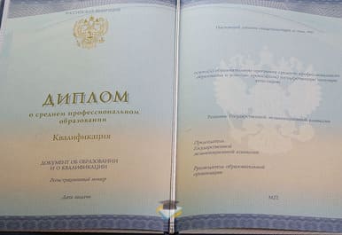 Диплом Профессионального лицея № 1 г. Тулы 2014-2020 годов